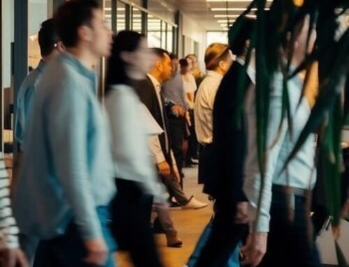 Real Decreto 1026/2024, de 8 de octubre de 2024